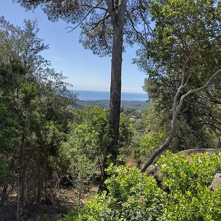 Casa Feliz Villa Sant Cebrià de Vallalta Dış mekan fotoğraf