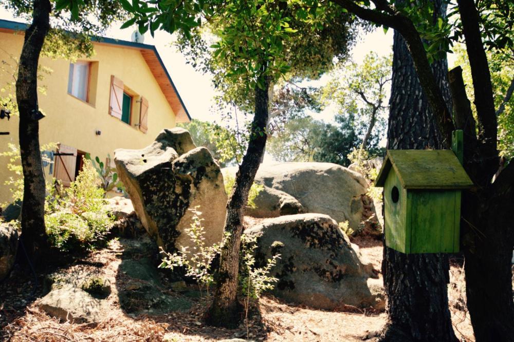 Casa Feliz Villa Sant Cebrià de Vallalta Dış mekan fotoğraf