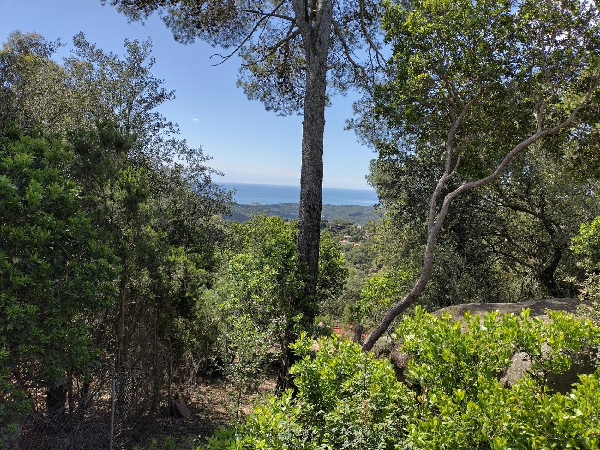 Casa Feliz Villa Sant Cebrià de Vallalta Dış mekan fotoğraf